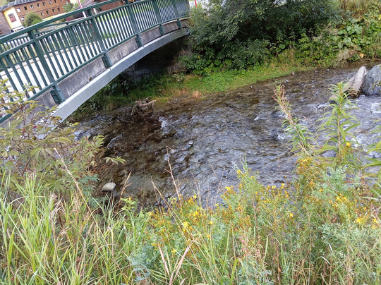 Hotel Tia Monte主图