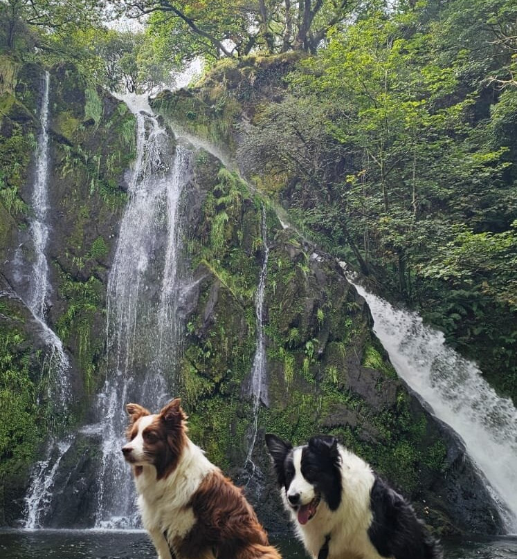 Ceunant Mawr Waterfall-Llanberis必去景点