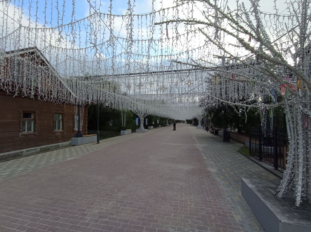 Lenina Street-Salekhard必去景点