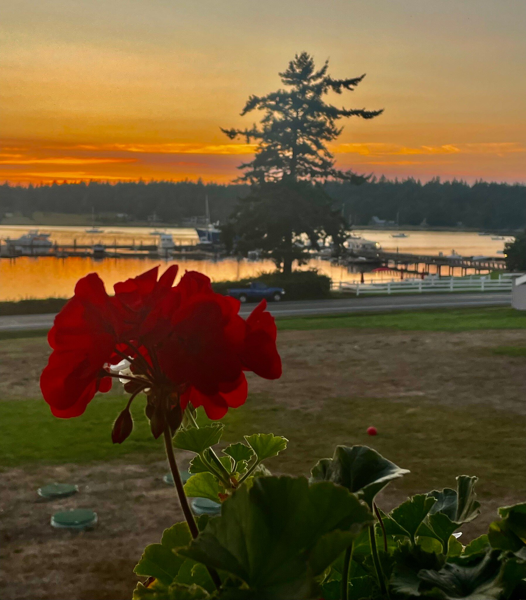 Lopez Islander Resort-官方