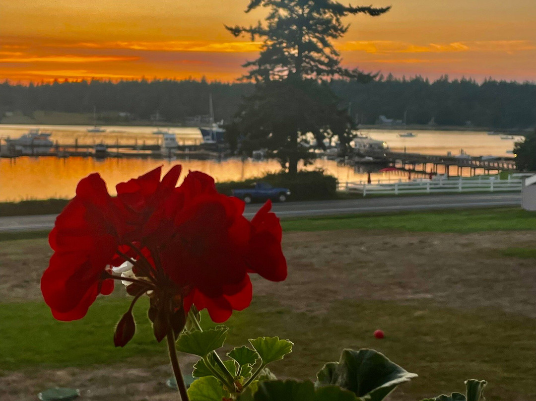 Lopez Islander Resort主图