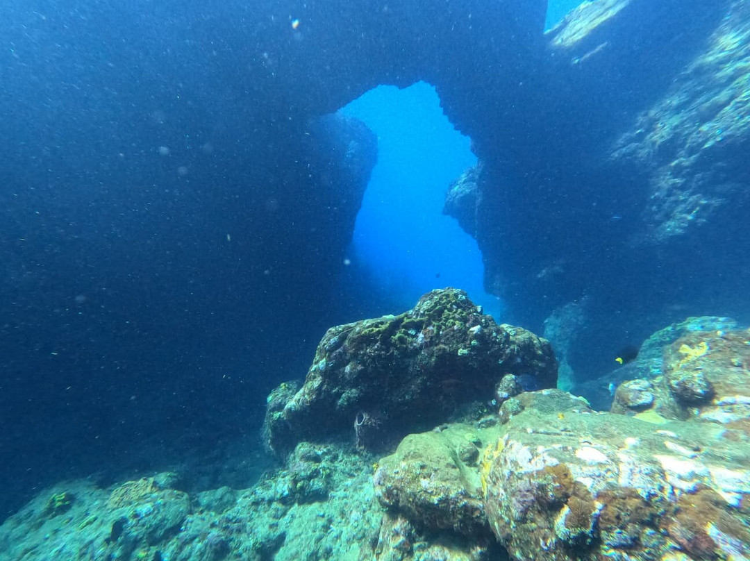 Aquatica Underwater Adventures-Aguadilla必去景点