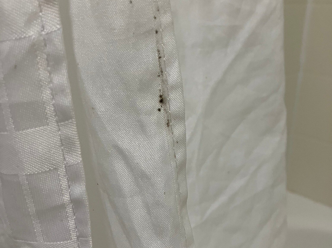 Holiday Inn Express & Suites Sandy - South Salt Lake City by IHG主图