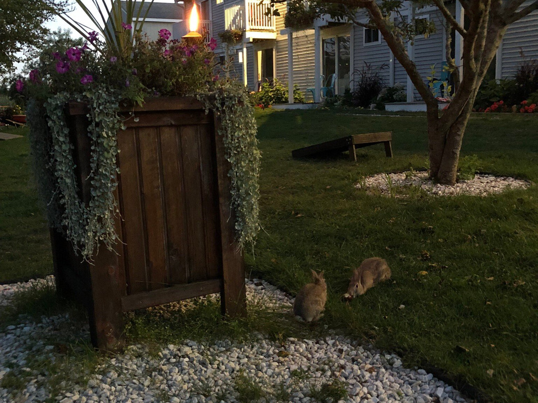 Cape Sands Inn主图