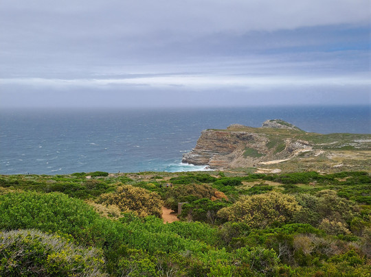 Cape & Company-斯泰伦博斯必去景点