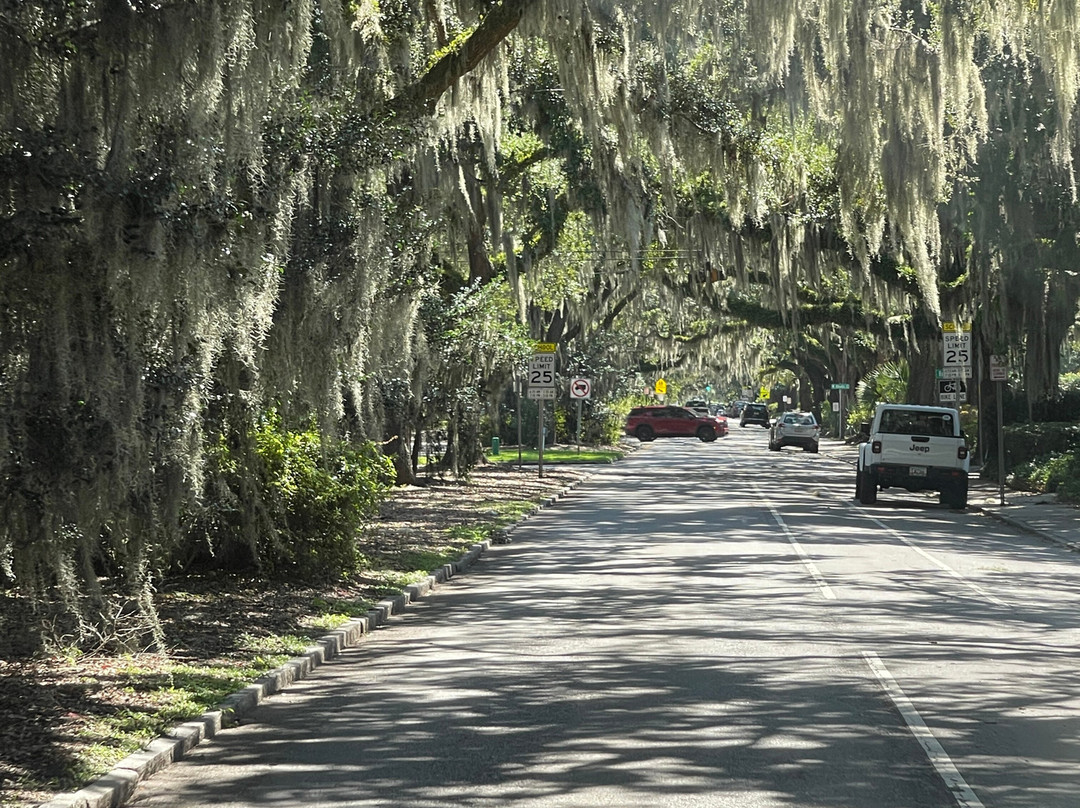 Savannah Heritage Tours-萨凡纳必去景点