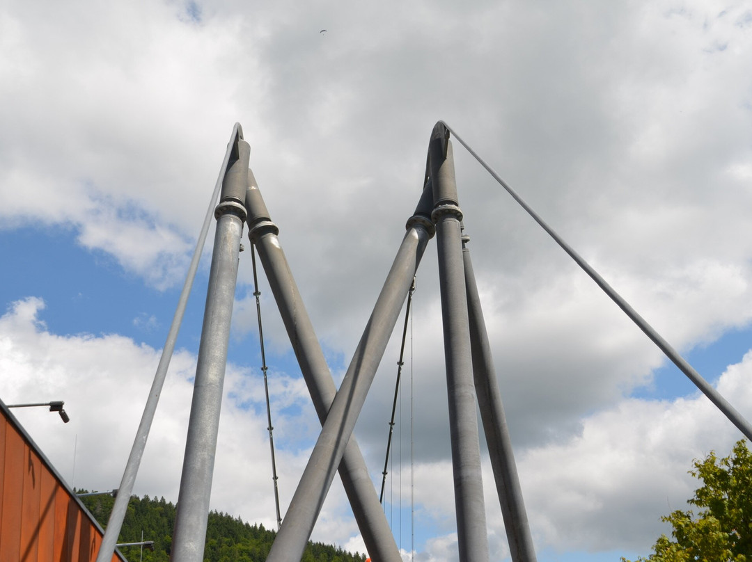 Black Forest Line Todtnau-托特瑙必去景点