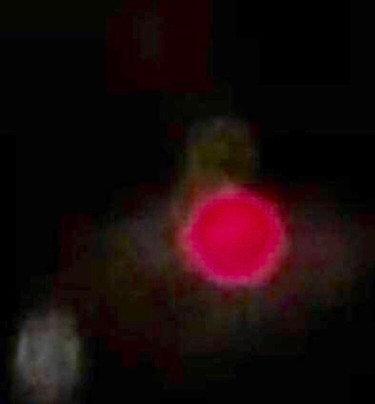 Matthew's Haunted Pub Crawl-加利纳必去景点