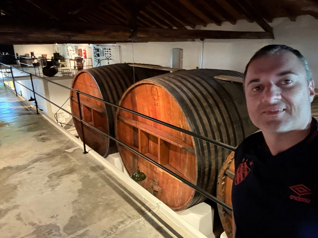 Altieri Wines - Vinorum-路冉得库约必去景点