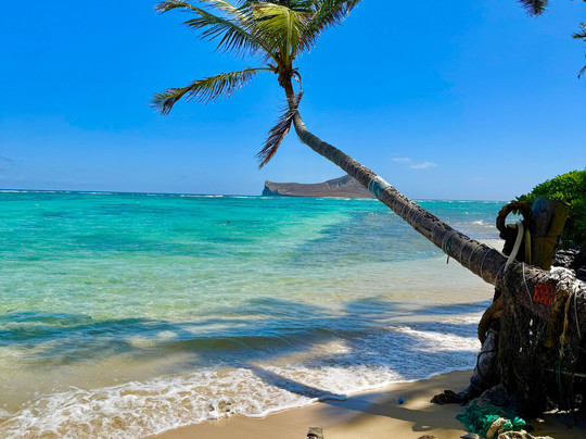 Escape Waikiki Tours-火奴鲁鲁必去景点