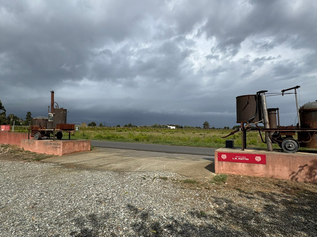 Domaine Mavela-Aleria必去景点