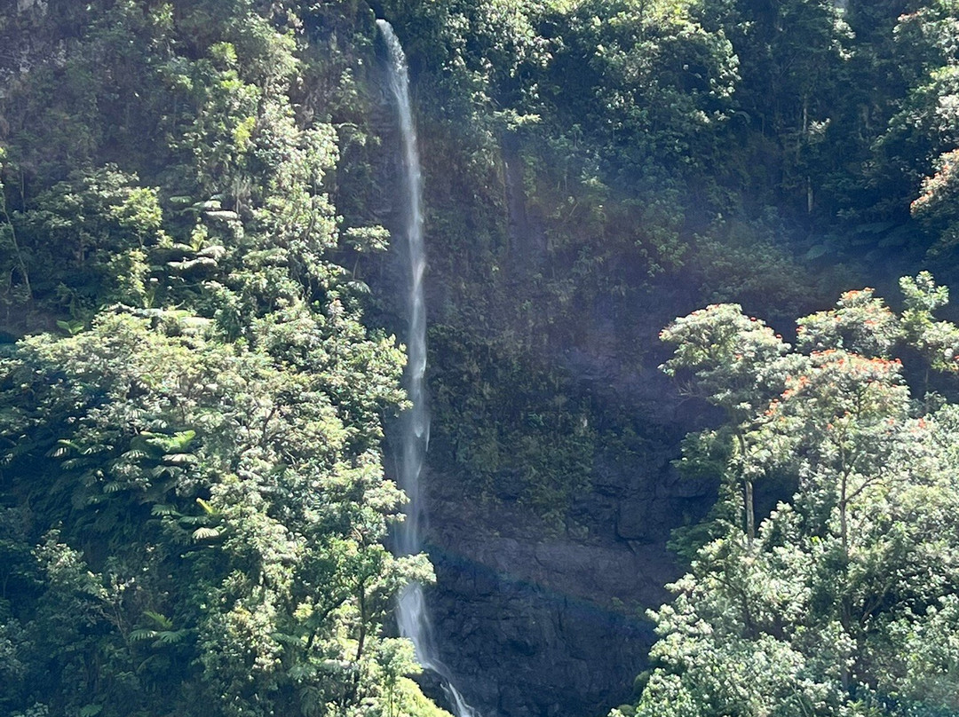 Tetapua Quad Tahiti ATV-帕皮提必去景点