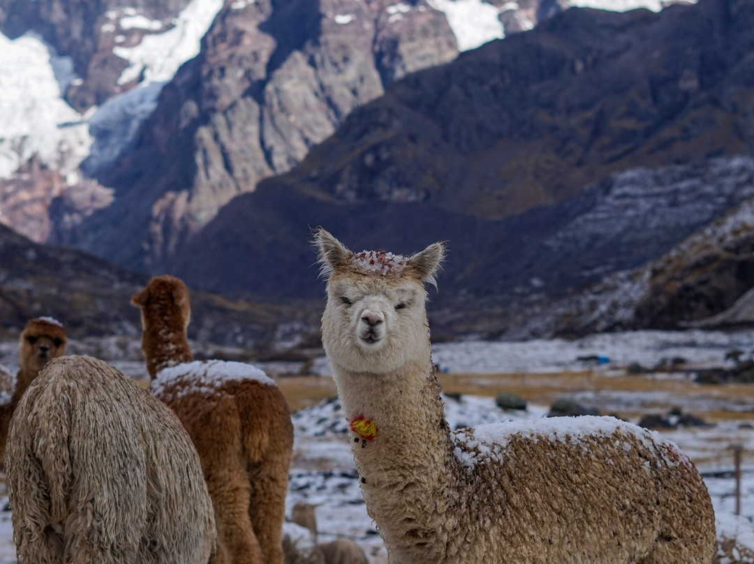 FlashpackerConnect-库斯科必去景点