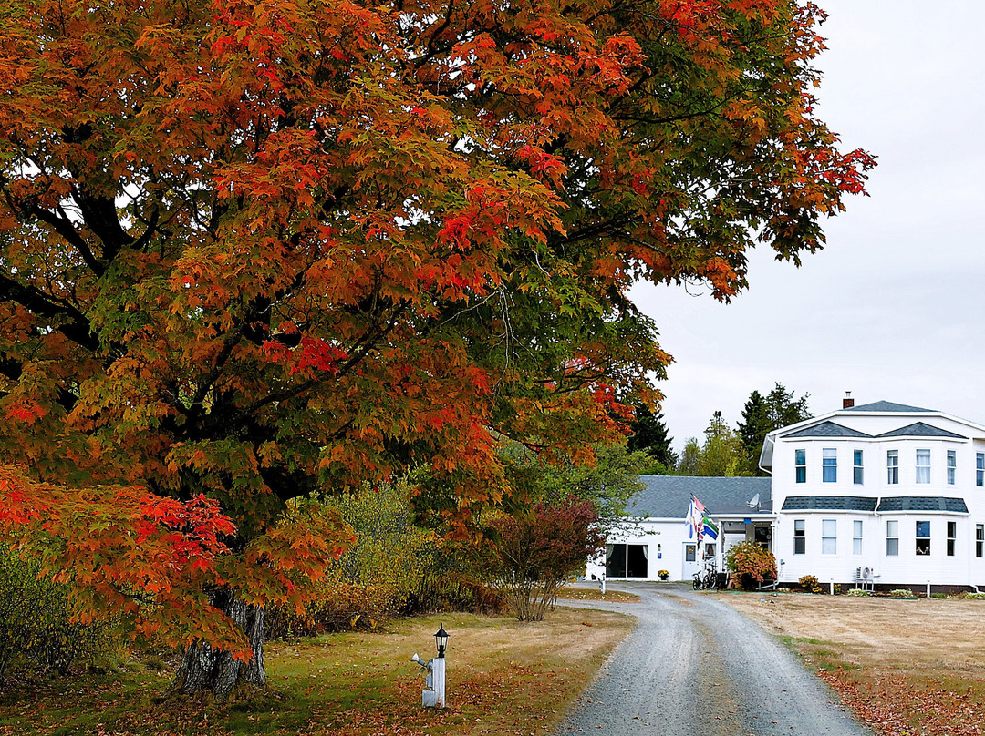 The Parrsboro Mansion Inn主图