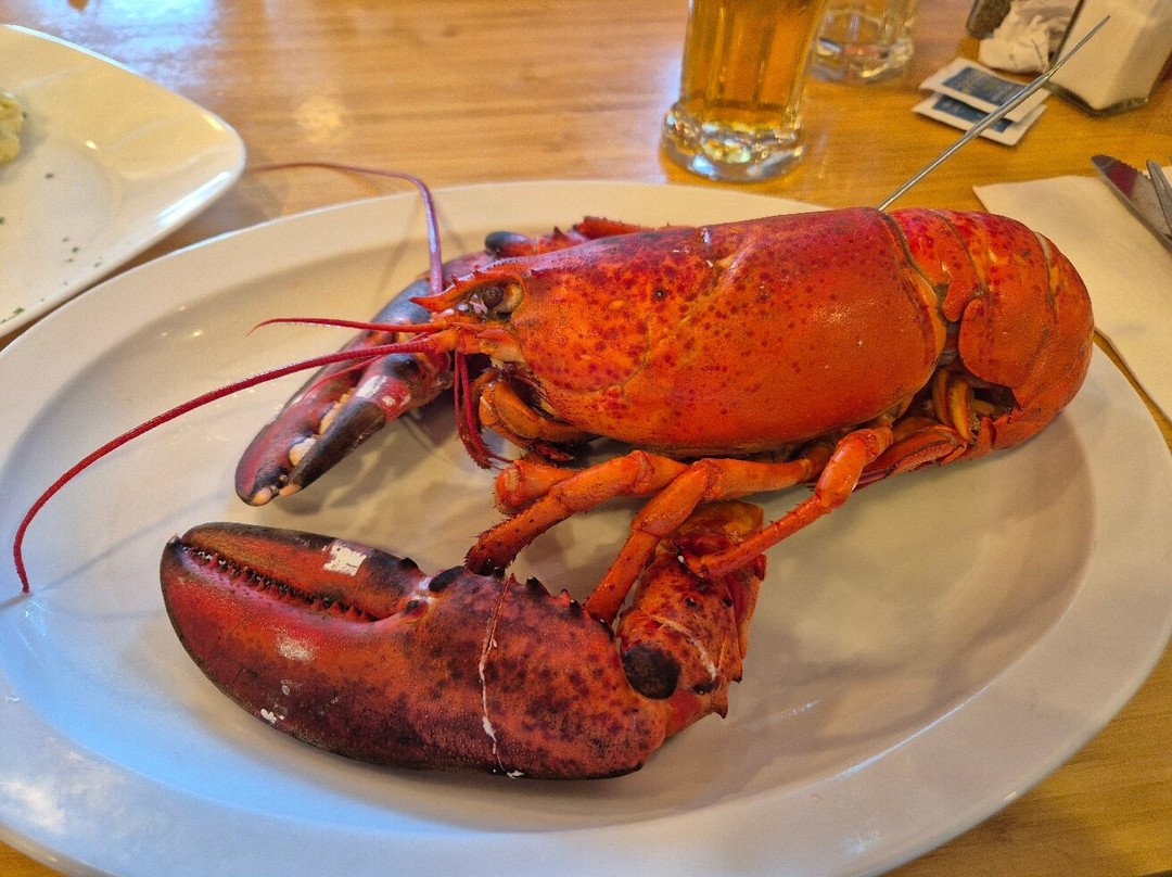 Hall's Harbour-Hall's Harbour必去景点