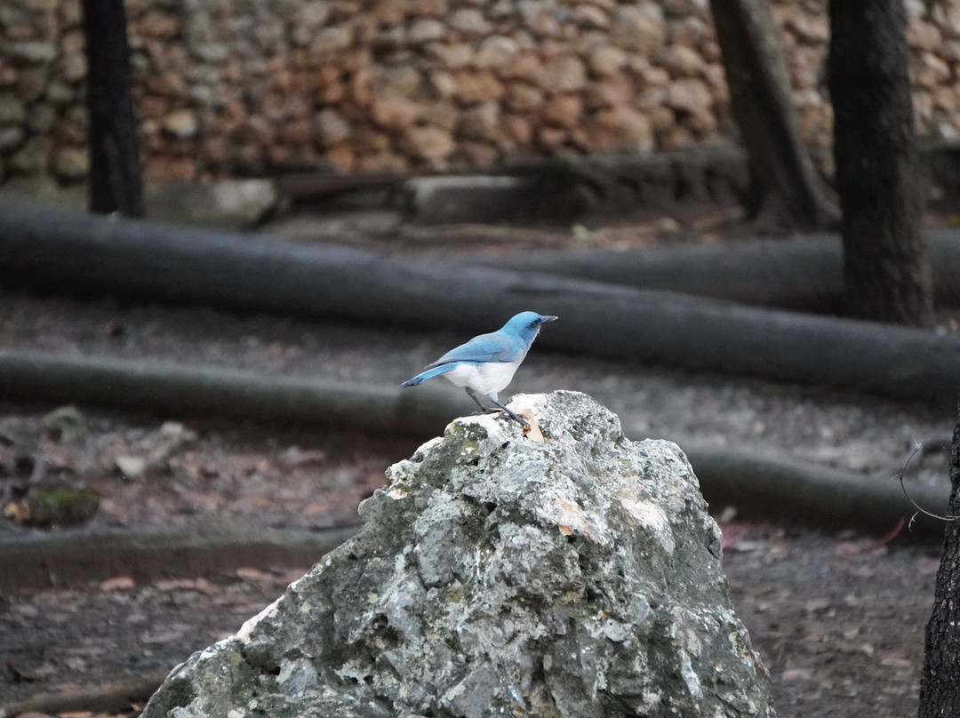 伊克罗杰克齐宾公园-圣佩德罗加尔萨加西亚镇必去景点