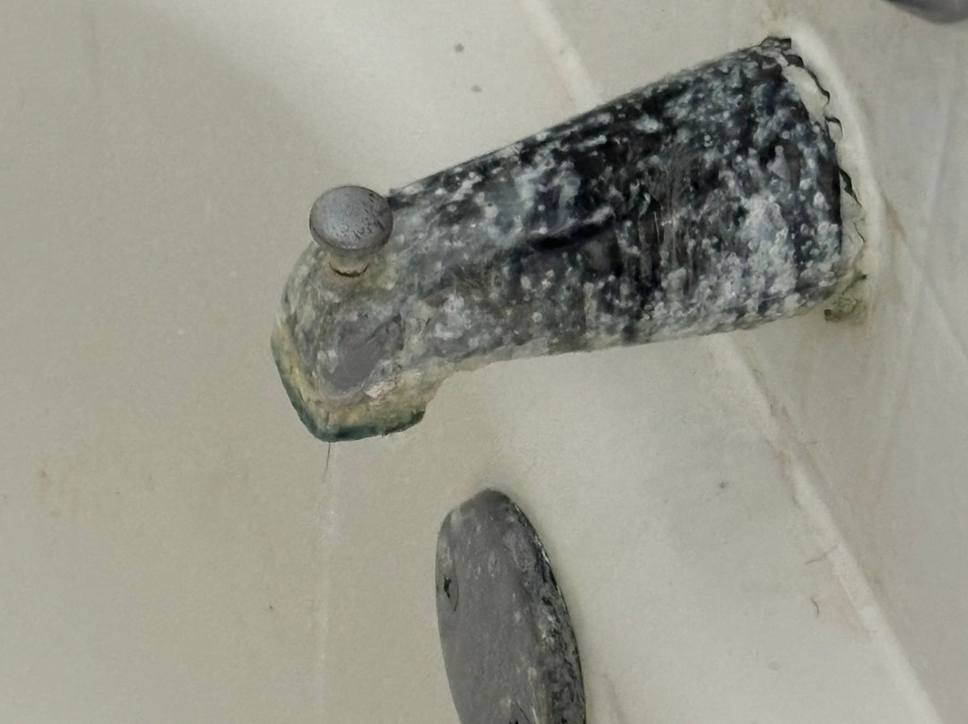 Best Western Richmond Hotel主图