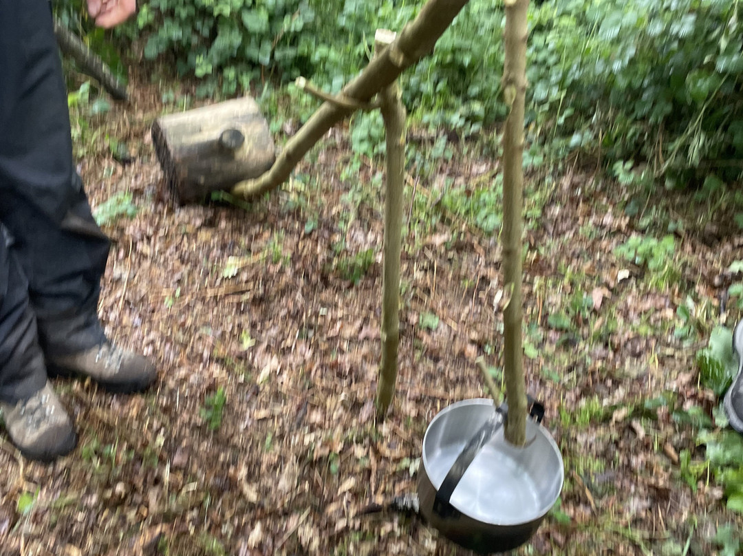 Back to Wilderness-Brandon必去景点