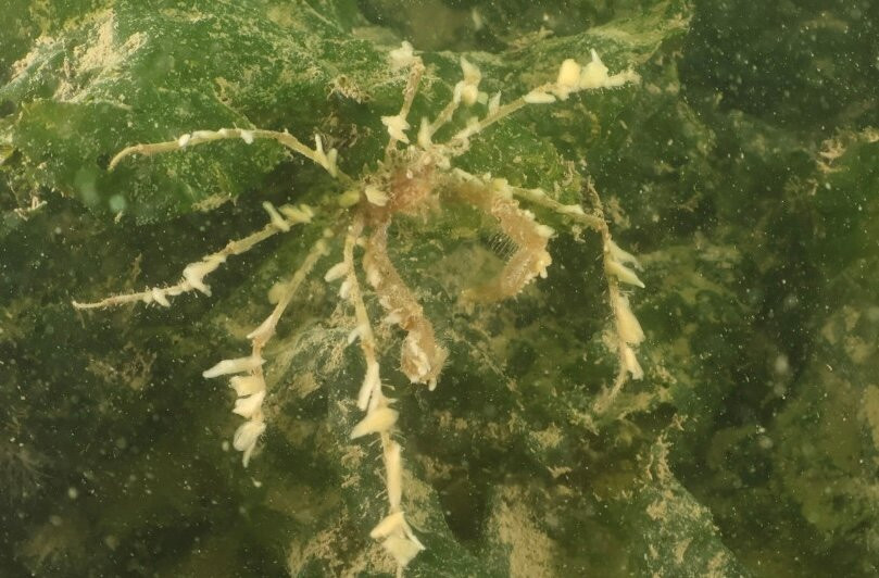 De Grevelingen-Scharendijke必去景点