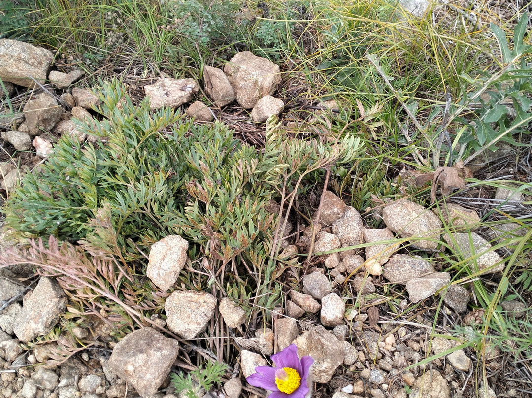 Hoboy Cape-奥利洪必去景点