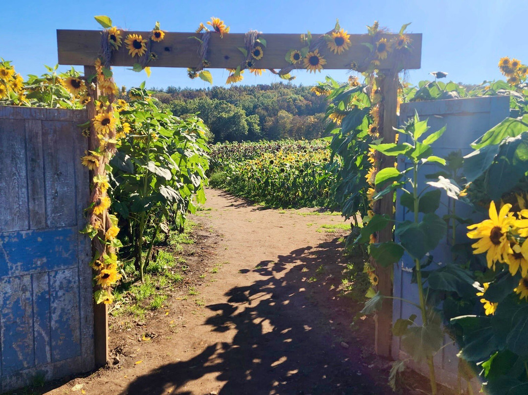 The Farm-Woodbury必去景点