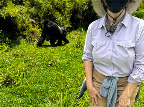 Standard Safaris-坎帕拉必去景点