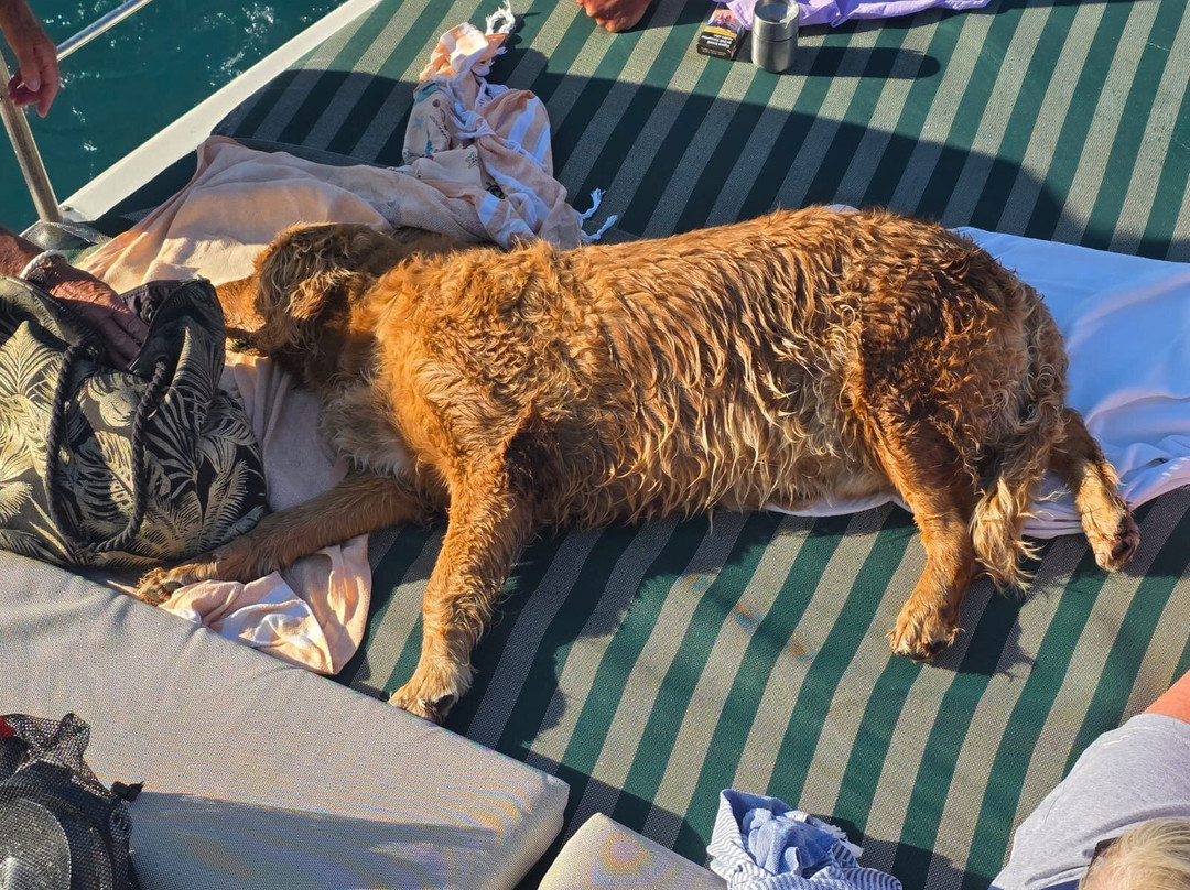 Musti's Boat-Turunc必去景点