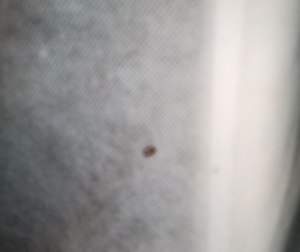 Extended Stay America - Portland - Beaverton主图