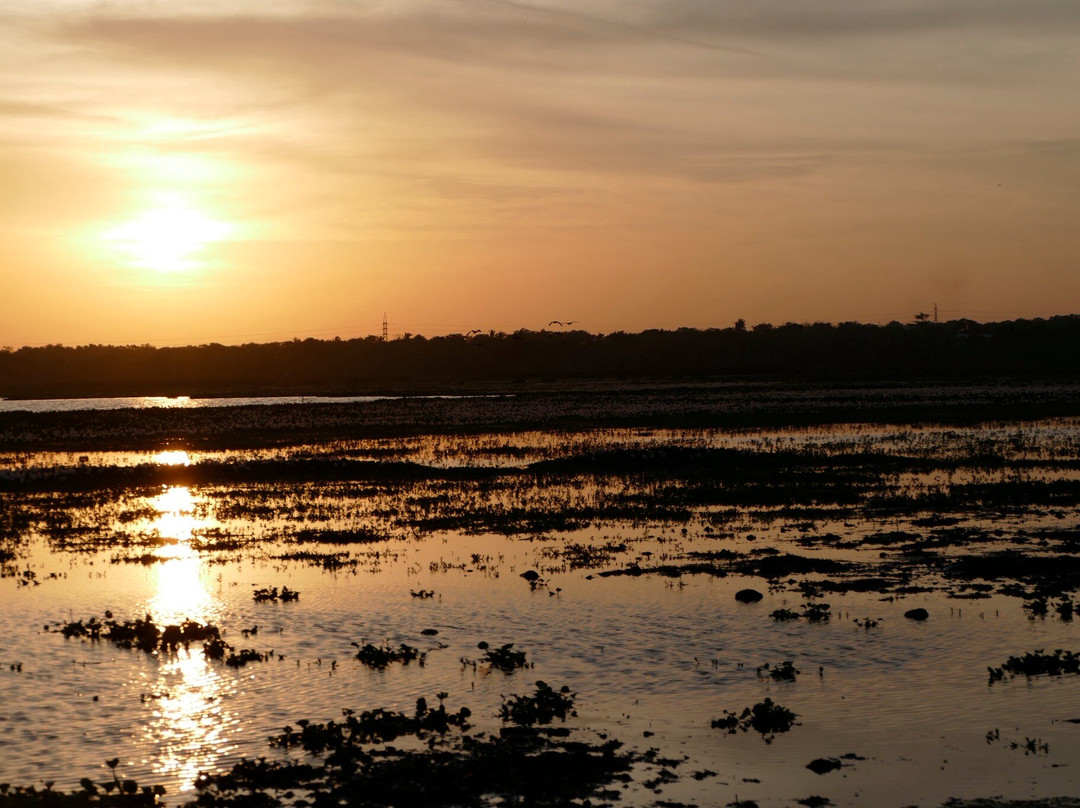 Hotel Peace & Lodge主图