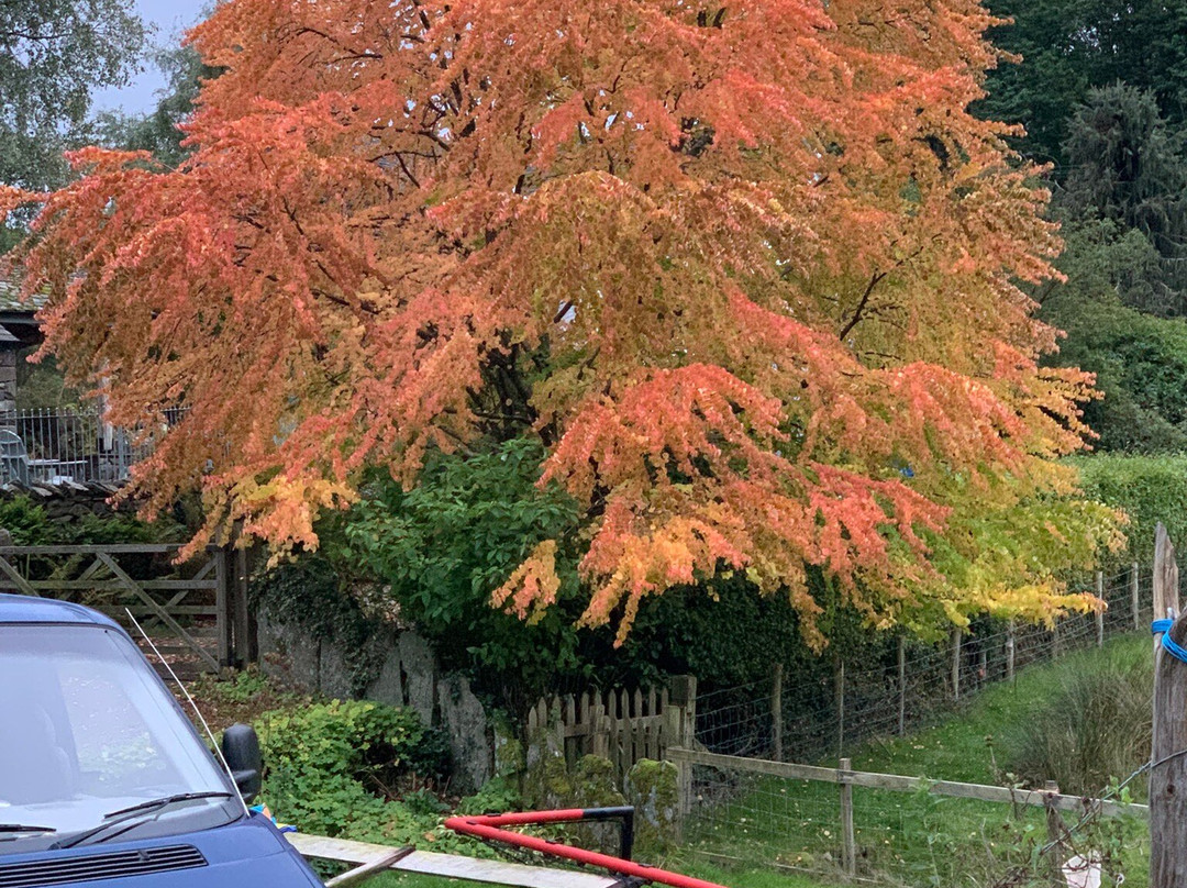 Crookabeck Bed & Breakfast主图