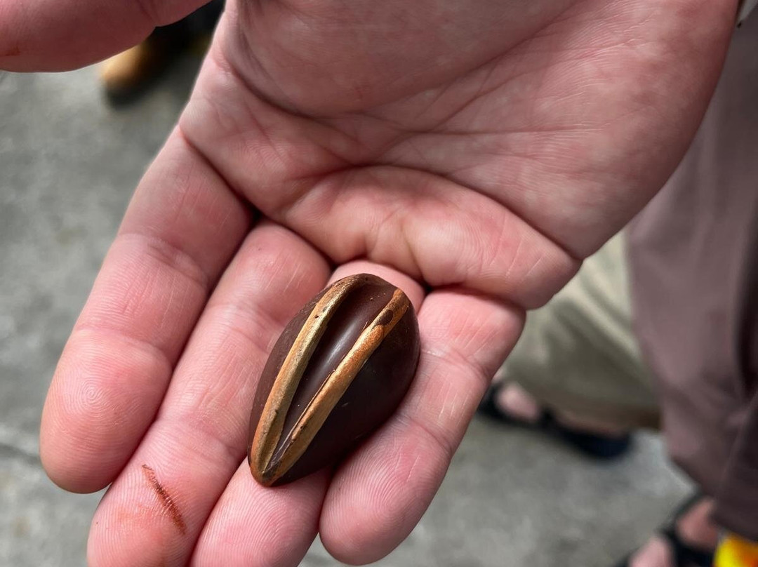 Boulevard Varadero-巴拉德罗必去景点