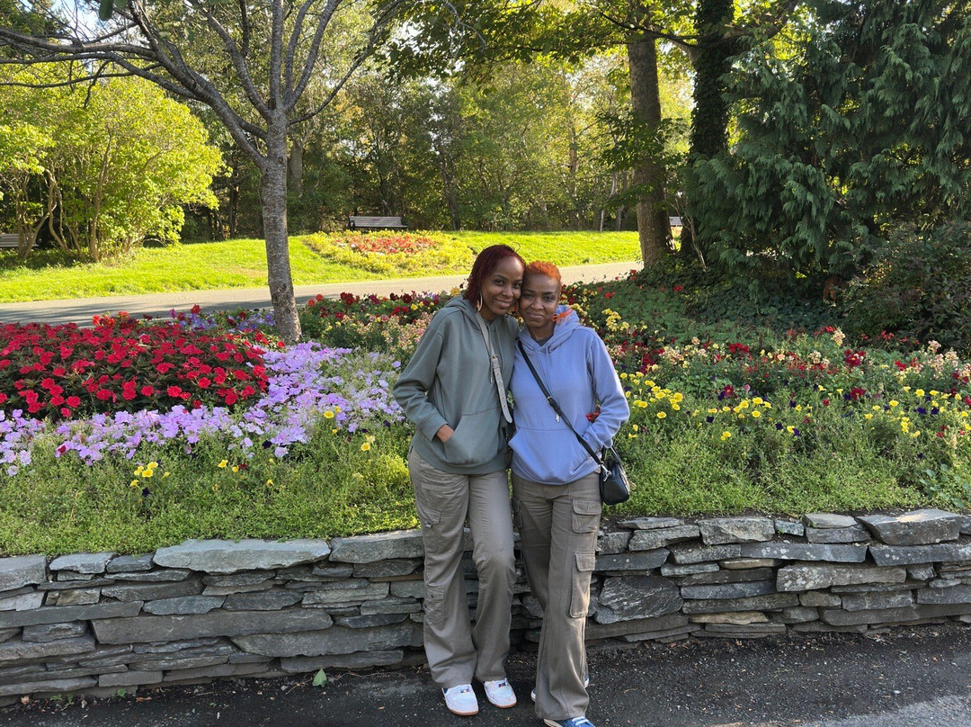 Bowring Park-圣约翰必去景点