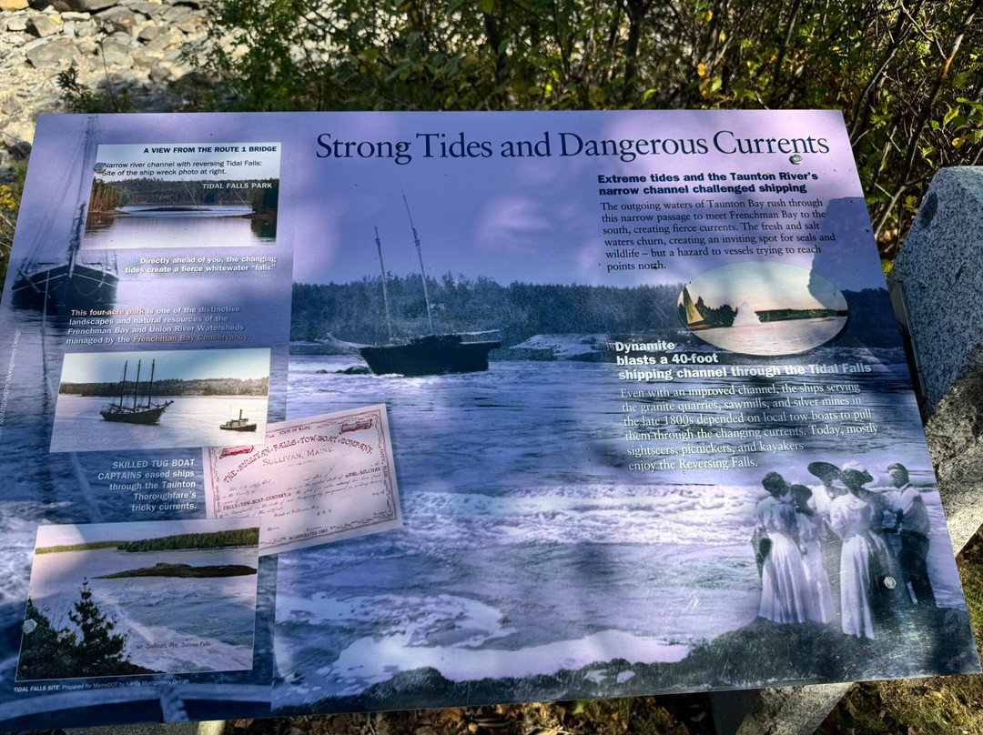 Tidal Falls Preserve-Sullivan必去景点