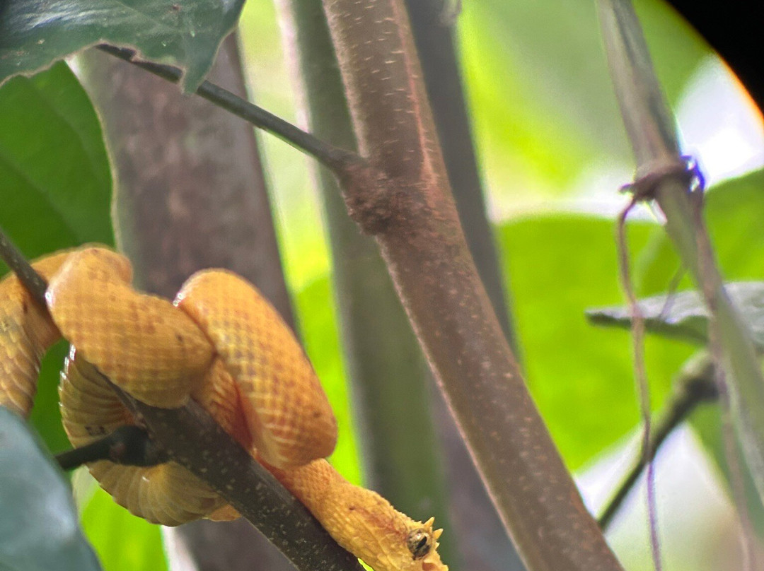 Serendipity Adventures-图里亚尔瓦必去景点