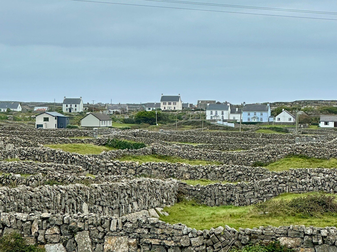 Thomas Faherty Tours-Inishmore必去景点