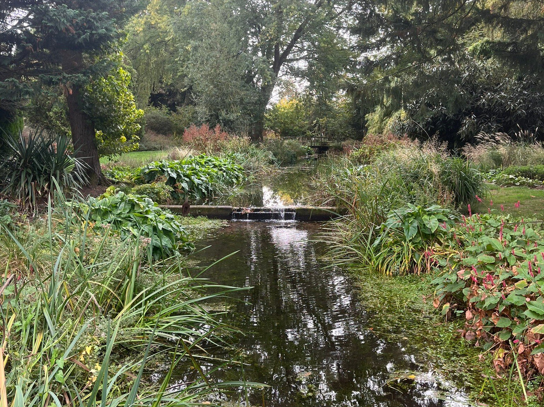 Gooderstone Water Gardens & Nature Trails-金斯林必去景点