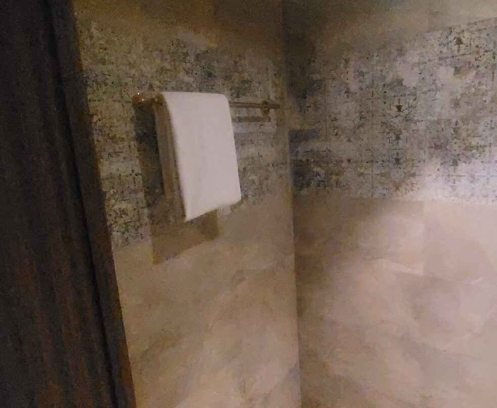 The Pristine Hotel主图