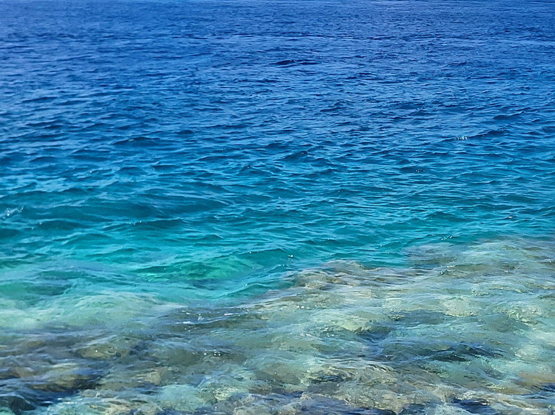 Va'a i te Moana主图