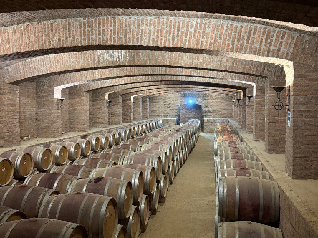 Vina Undurraga-Talagante必去景点