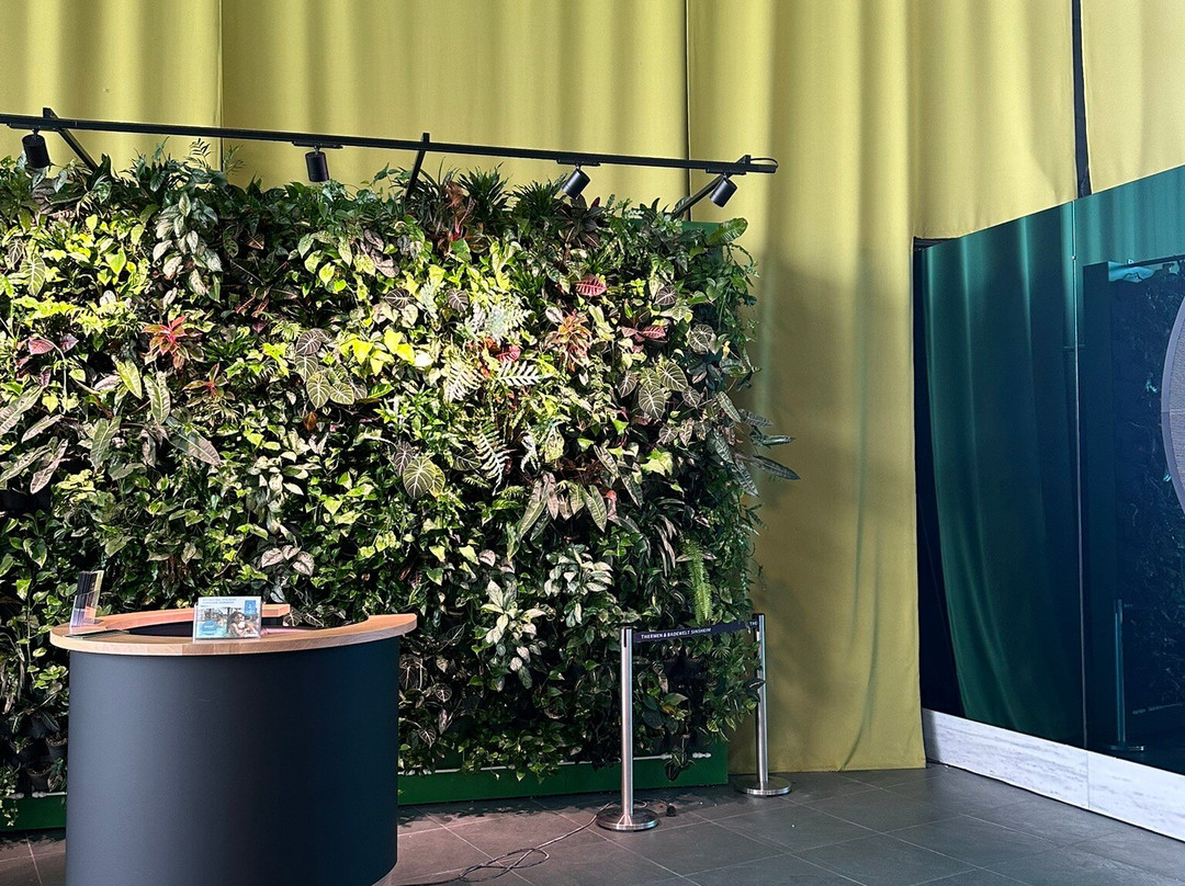 Thermen & Badewelt Sinsheim-辛斯海姆必去景点