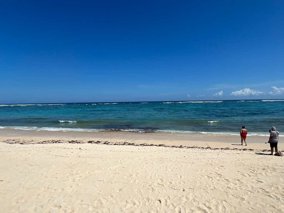 Bali Advisor Tour-乌布必去景点