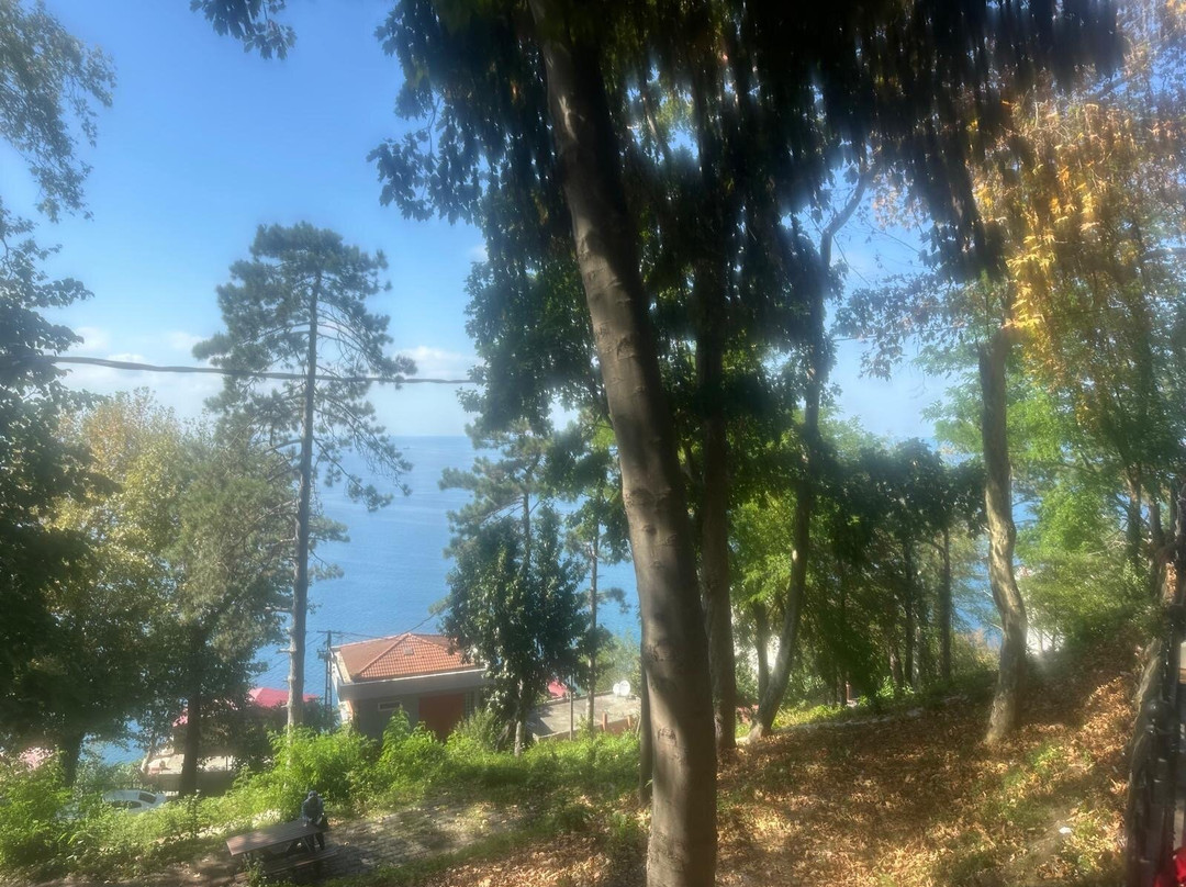 Giresun Castle-Giresun必去景点