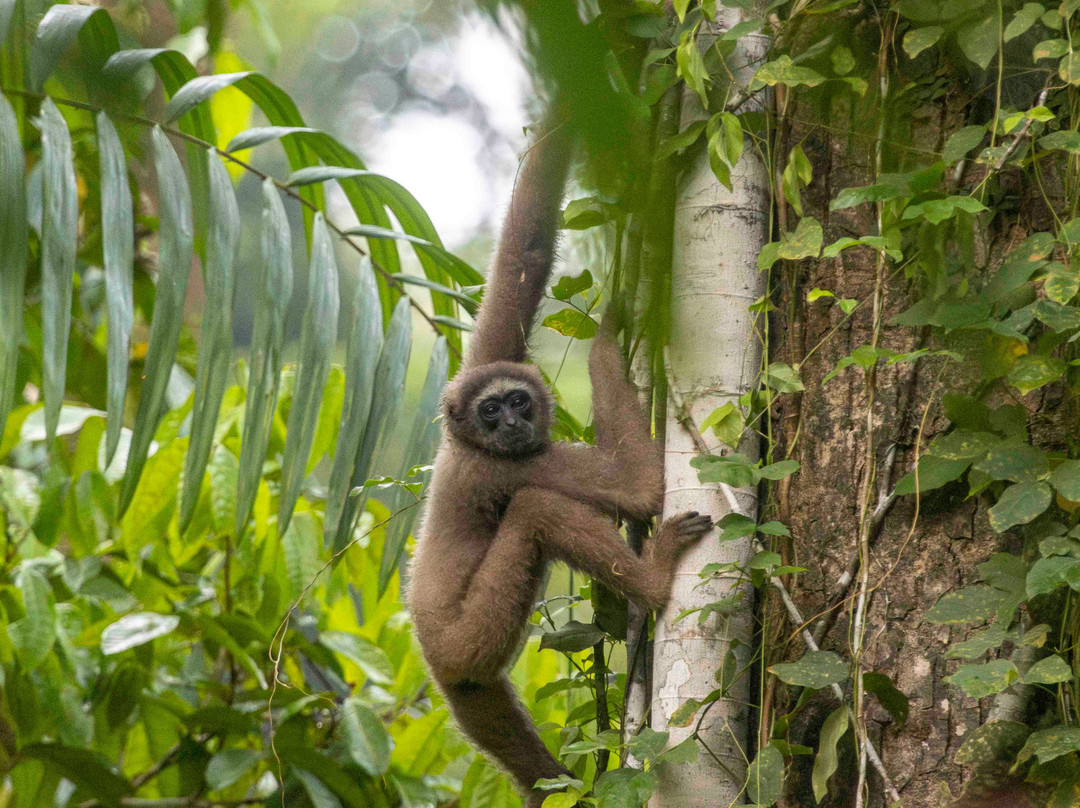 Unearth Adventure-拉布拉多必去景点