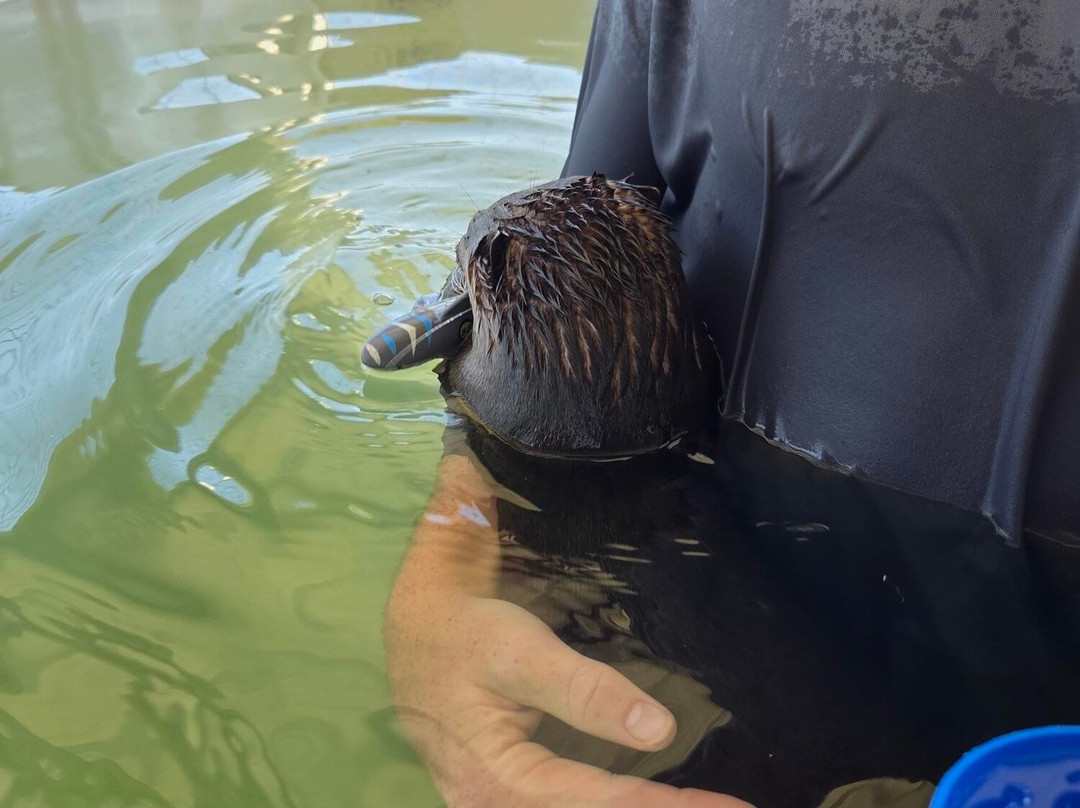 Blue Hills Ranch-McGregor必去景点