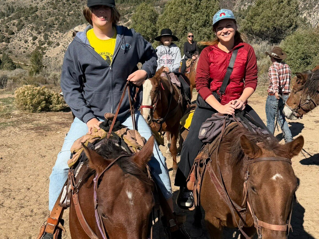 Bearcat Stables-Edwards必去景点
