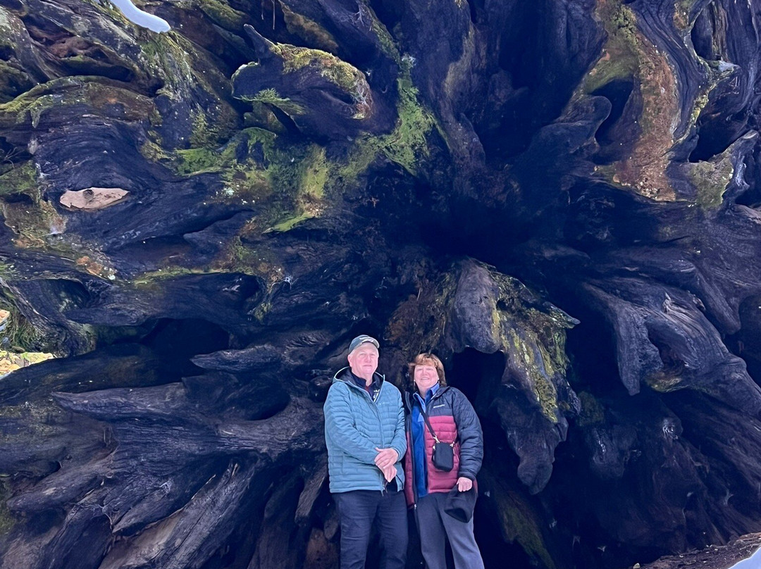 Sequoia Parks Conservancy-Three Rivers必去景点