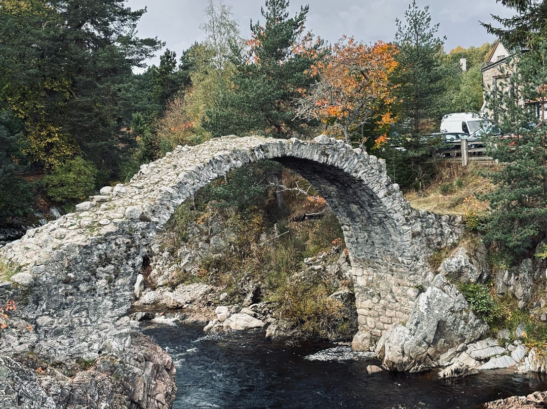 Best Scottish Tours-达农必去景点