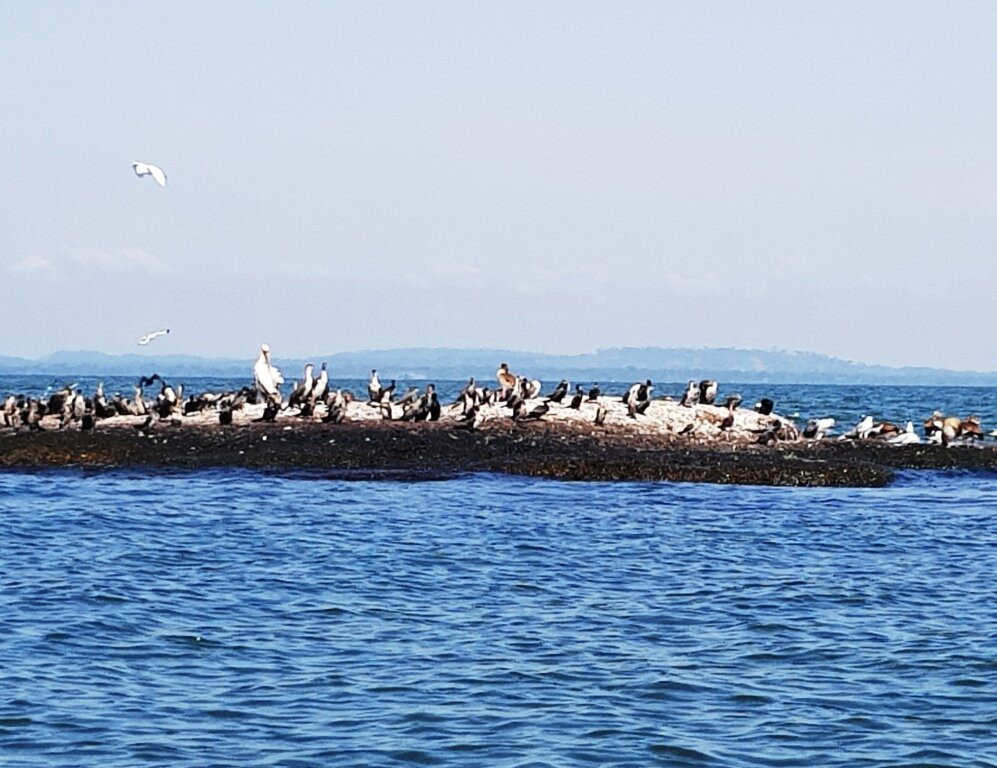 Lake Victoria Equator Entebbe