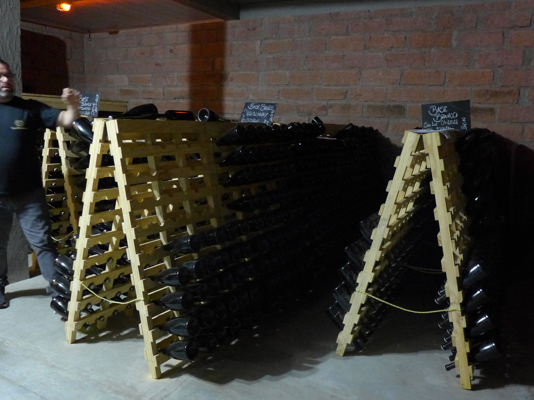 Casa Seganfredo-格拉玛多必去景点