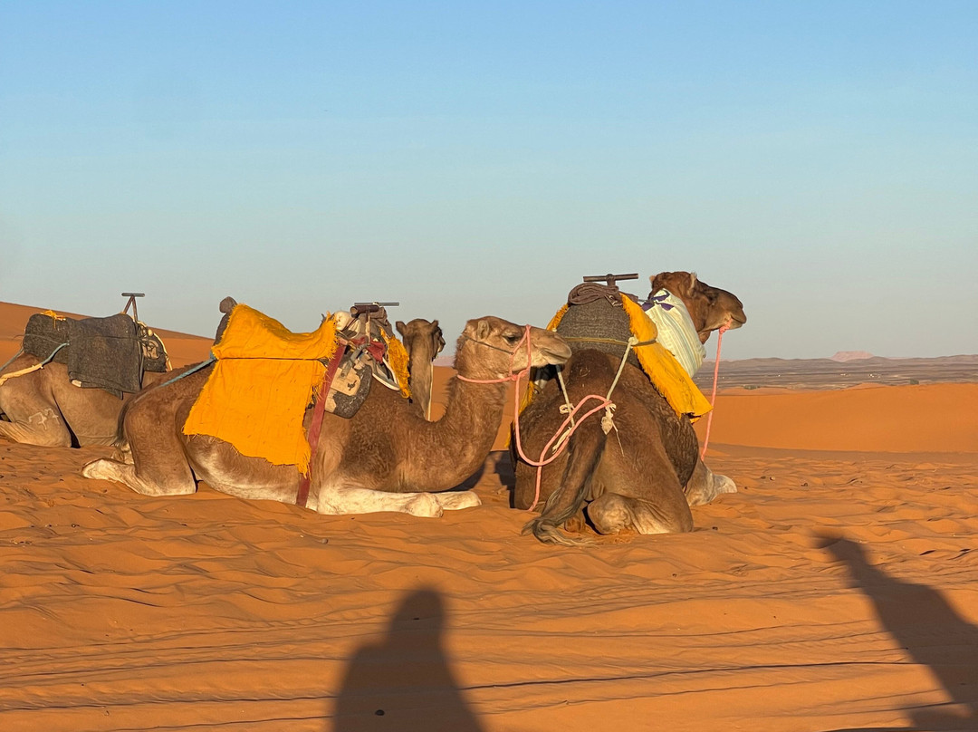 Desert Merzouga Tours-非斯必去景点